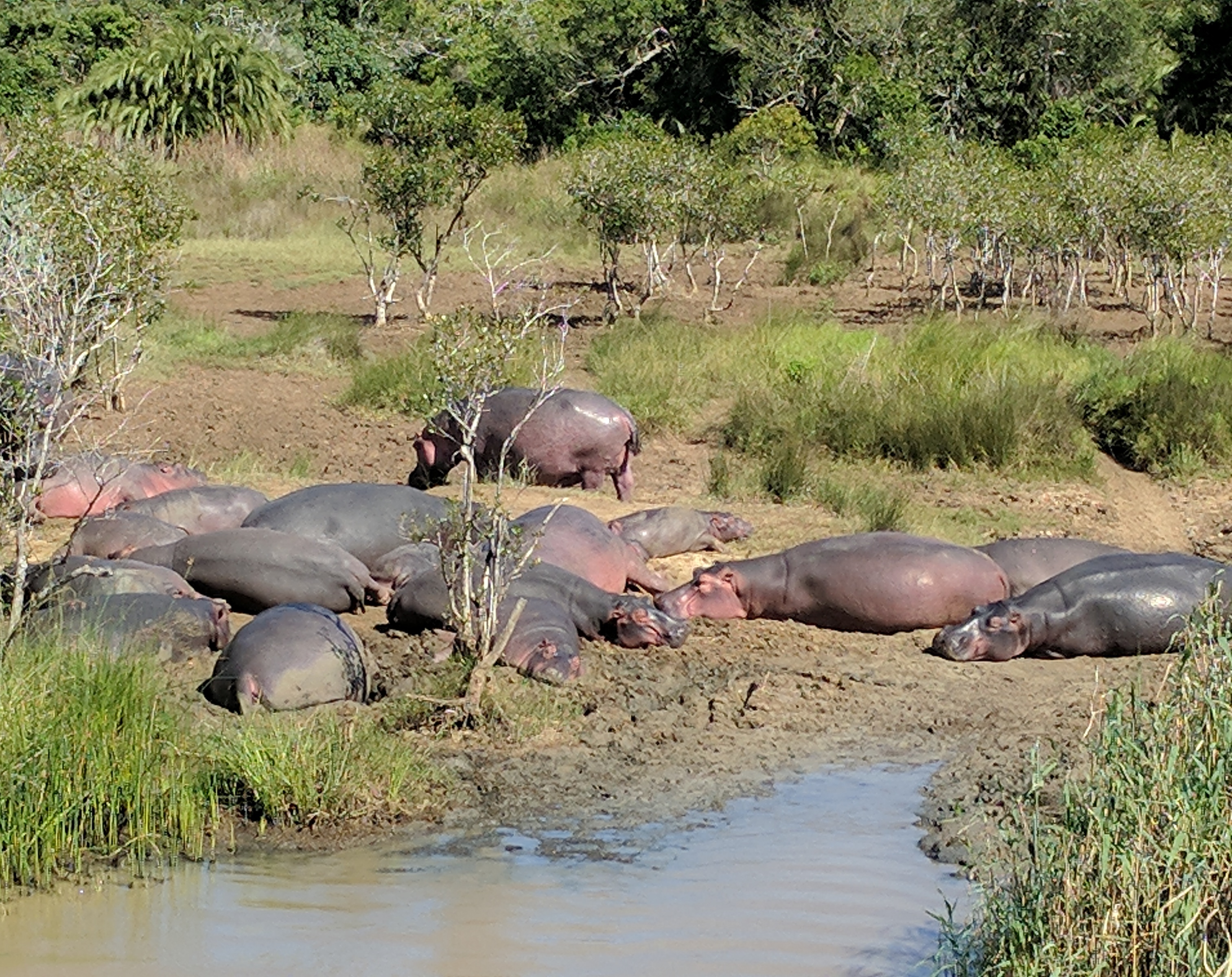 IMG_20180510_102801_535