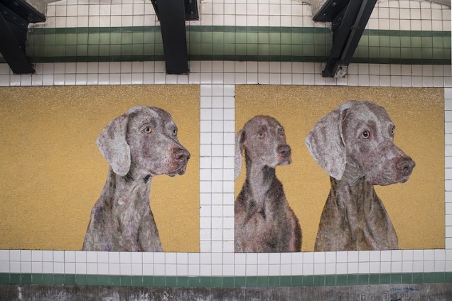 william-wegman-stationary-figures-1